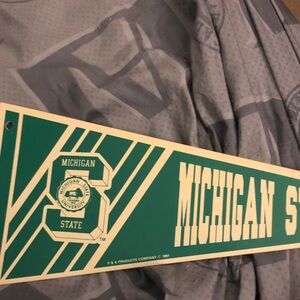 Gray Michigan State  banner